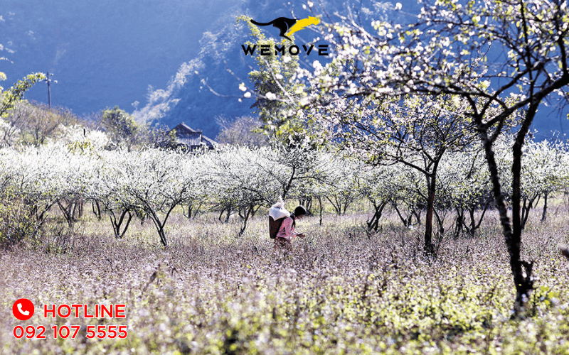 thue-xe-16-cho-di-moc-chau